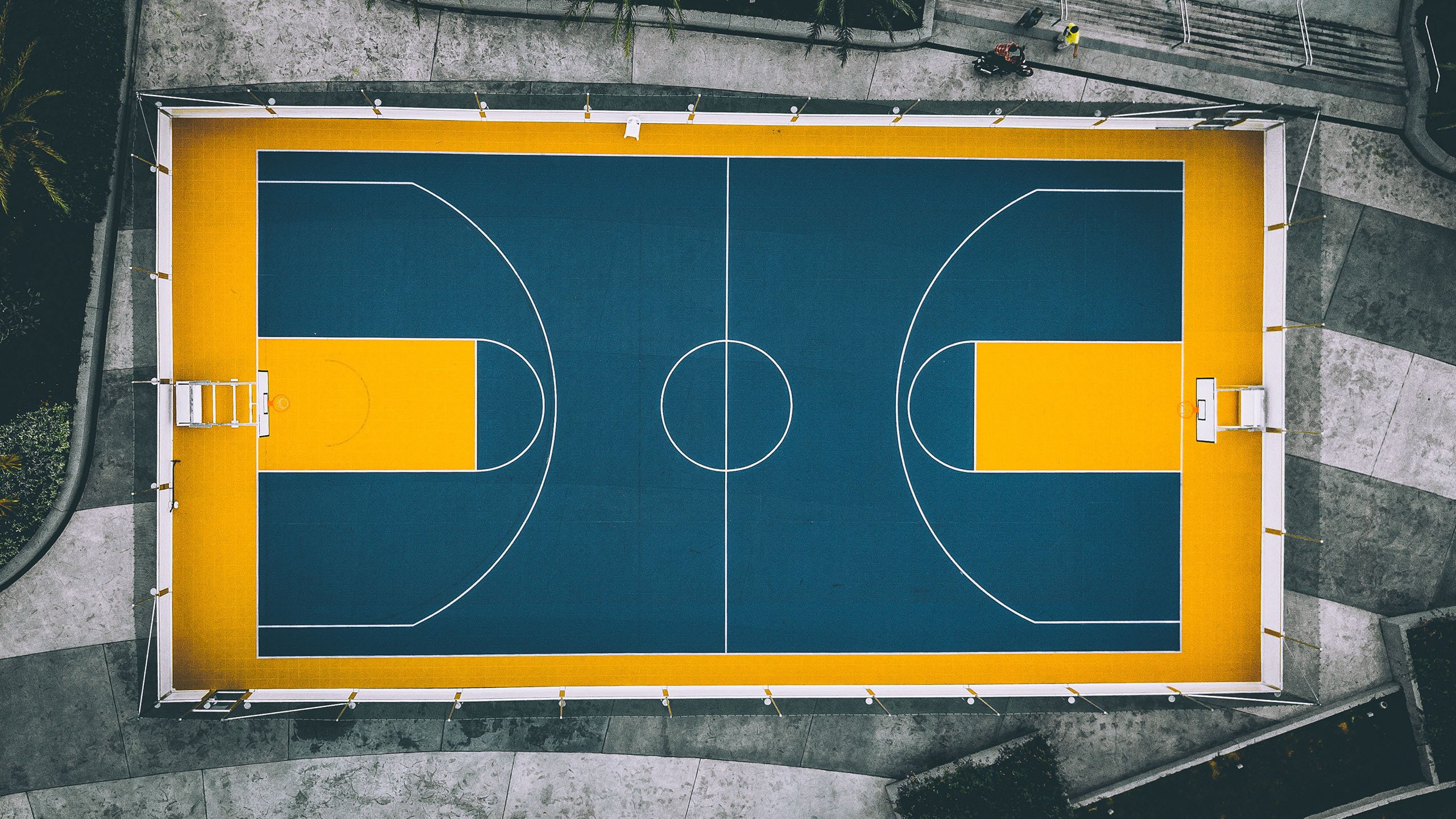 NBA2025-26赛季总决赛抢七大战落幕 新王加冕,nba2026年总决赛